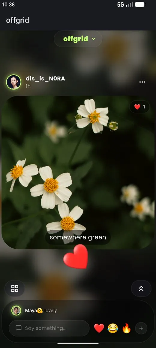 a friend’s drop with comments